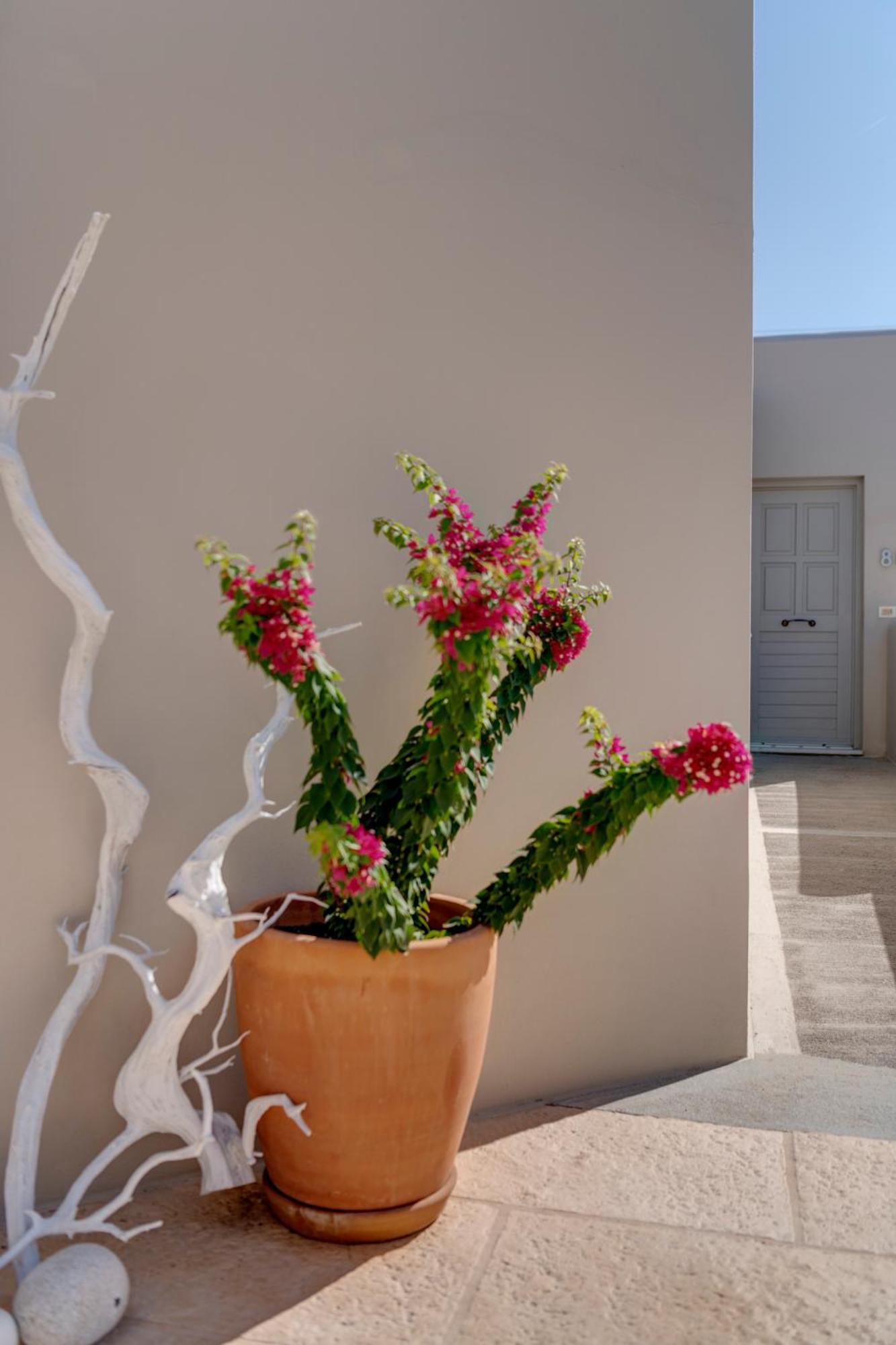 Kouros Art Hotel (Adults Only) Stelida  Bagian luar foto